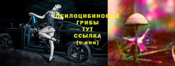 каннабис Алзамай