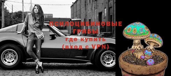 амф Алексин