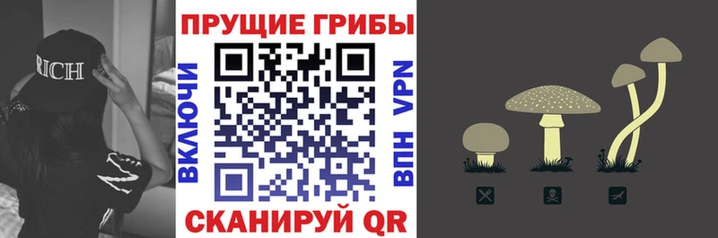 Галлюциногенные грибы ЛСД  кракен как зайти  Амурск 